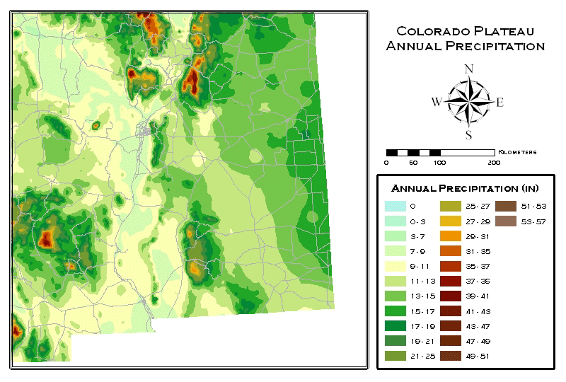 New Mexico Rainfall 2024 Remy Valida